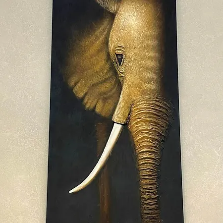 La Ruche Oostende Mellet