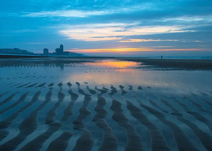 La Ruche Oostende Bed & Breakfast Mellet