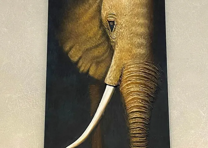 La Ruche Oostende Mellet