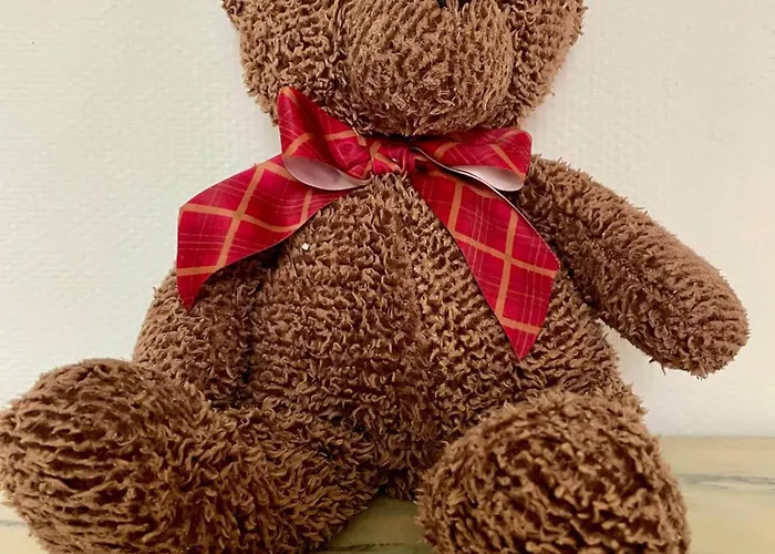 La Ruche Oostende Bed & Breakfast